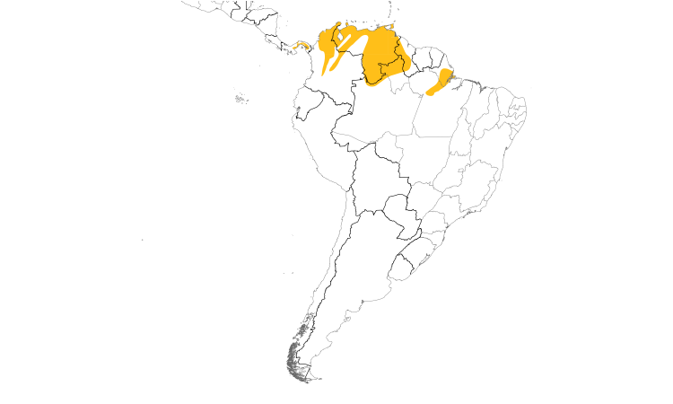 Range Map (South): White-bellied Antbird