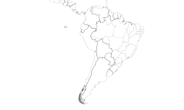 Range Map (South): Galapagos Mockingbird