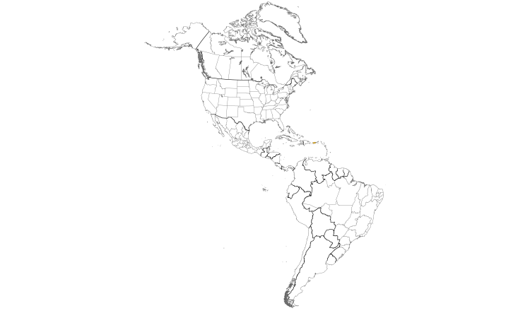 Range Map (Americas): Puerto Rican Tanager