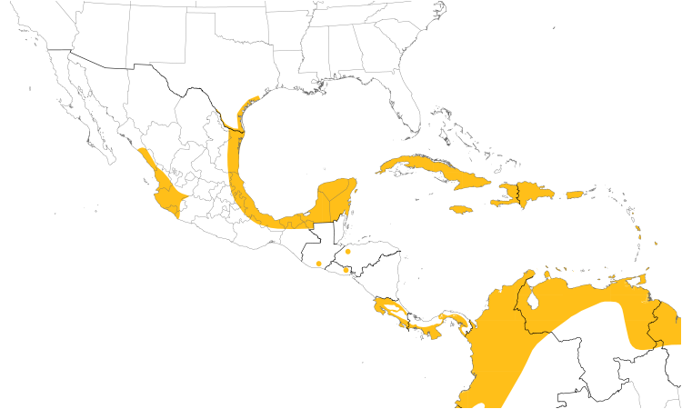 Range Map (Central): Masked Duck