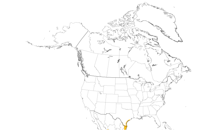 Range Map (North): Masked Duck