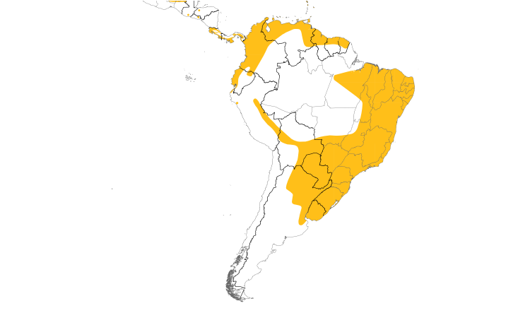 Range Map (South): Masked Duck