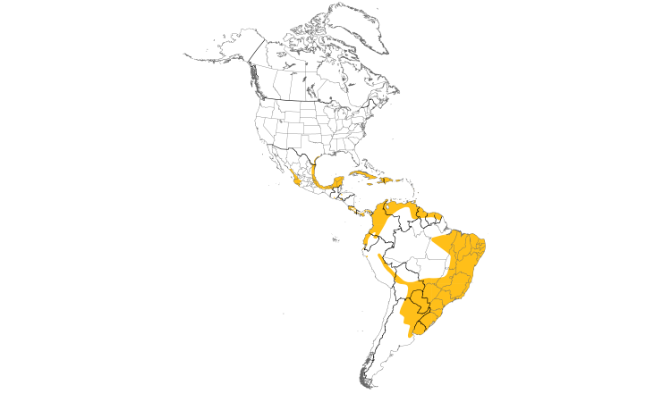 Range Map (Americas): Masked Duck