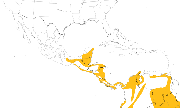 Range Map (Central): White-necked Puffbird