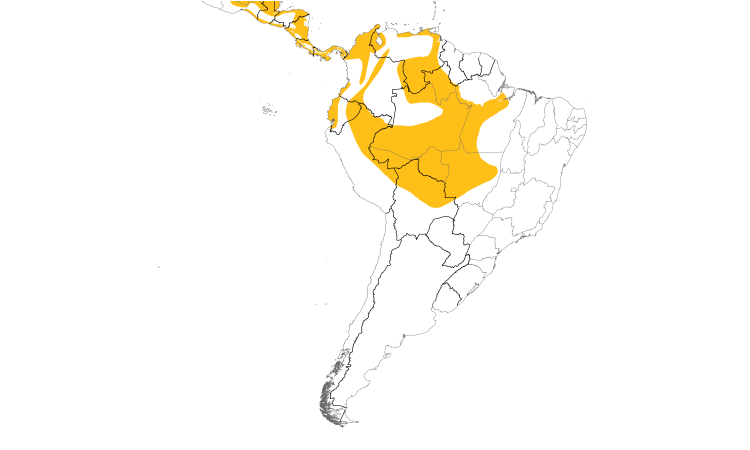 Range Map (South): White-necked Puffbird