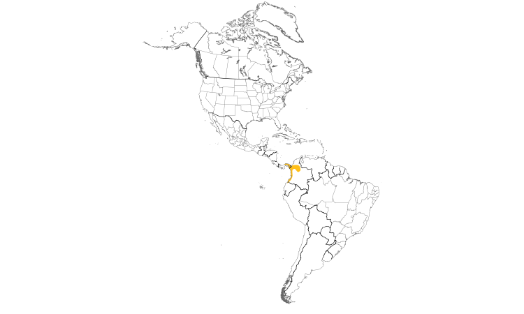 Range Map (Americas): Black-breasted Puffbird