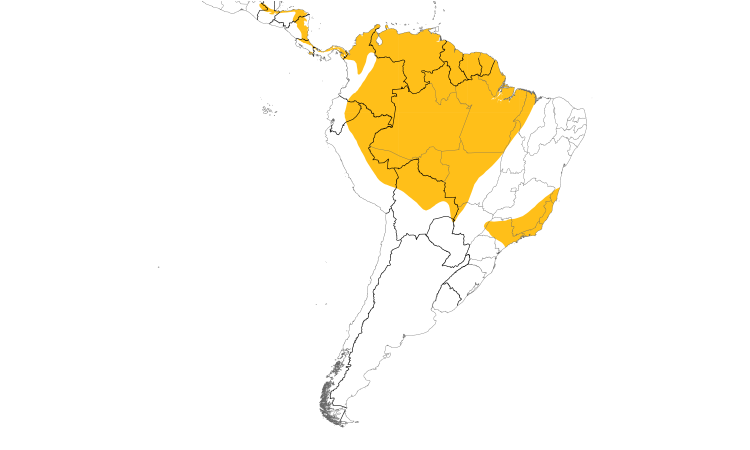 Range Map (South): Great Potoo