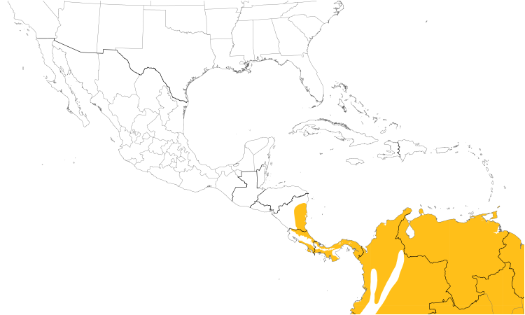 Range Map (Central): Common Potoo