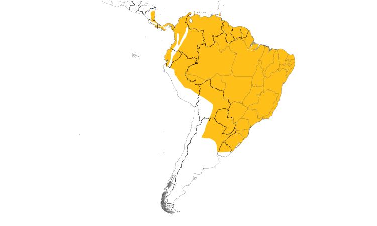 Range Map (South): Common Potoo