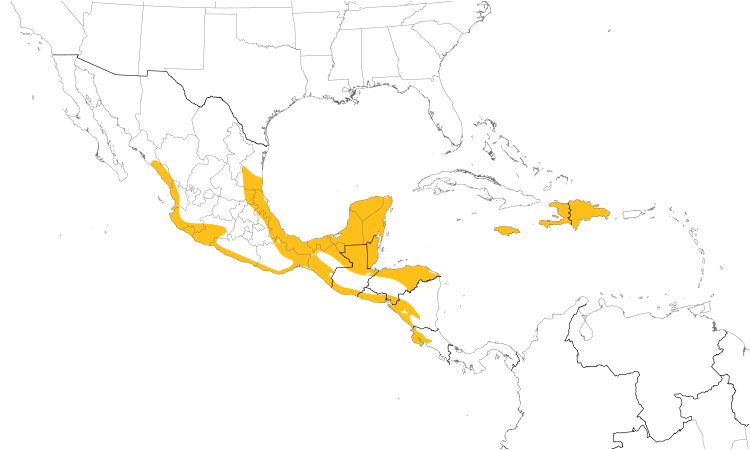 Range Map (Central): Northern Potoo