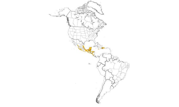 Range Map (Americas): Northern Potoo