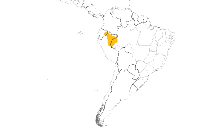 Range Map (South): Band-tailed Cacique