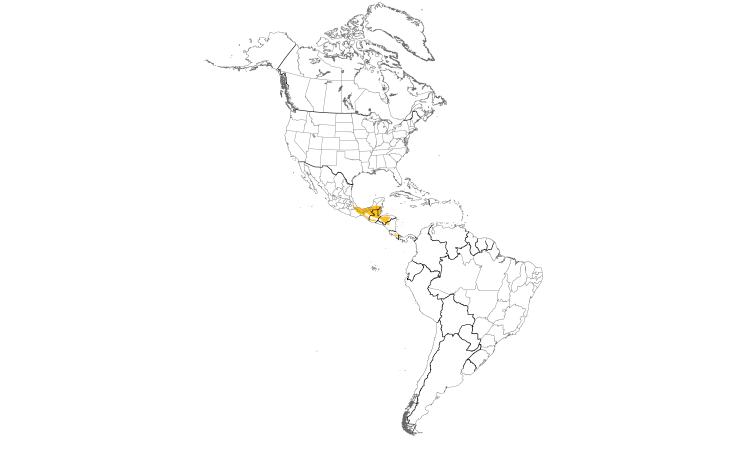 Range Map (Americas): Spotted Wood-Quail