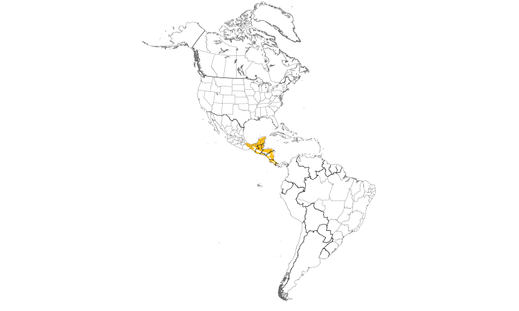 Range Map (Americas): Northern Bentbill