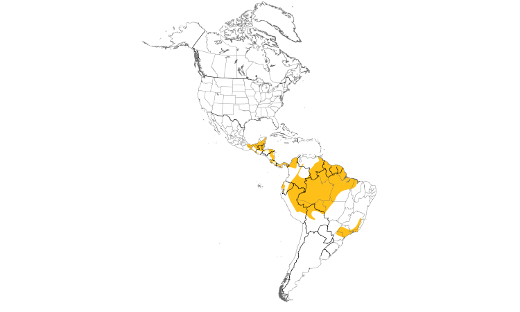 Range Map (Americas): Royal Flycatcher