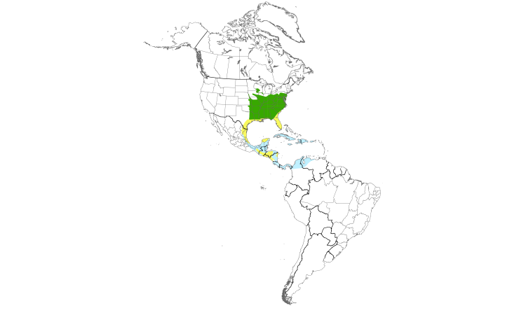 Range Map (Americas): Kentucky Warbler