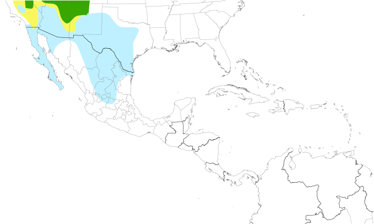 Range Map (Central): Sage Thrasher