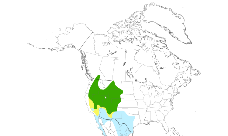 Range Map (North): Sage Thrasher