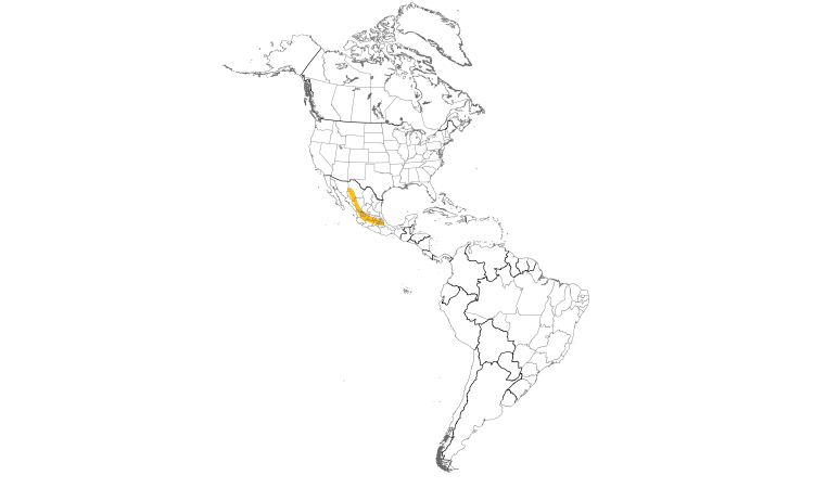Range Map (Americas): Striped Sparrow