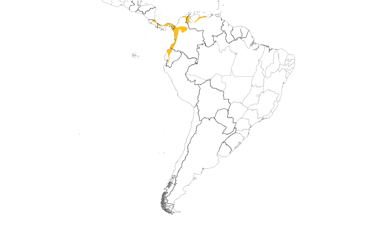 Range Map (South): Brown-capped Tyrannulet