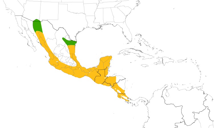 Range Map (Central): Rose-throated Becard