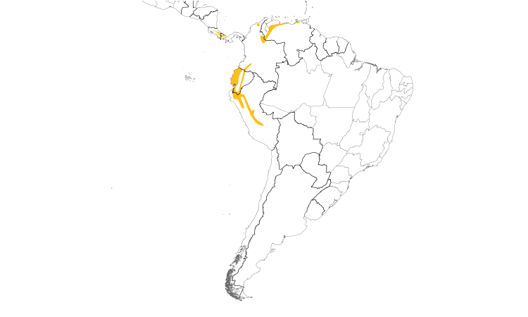 Range Map (South): Black-and-white Becard