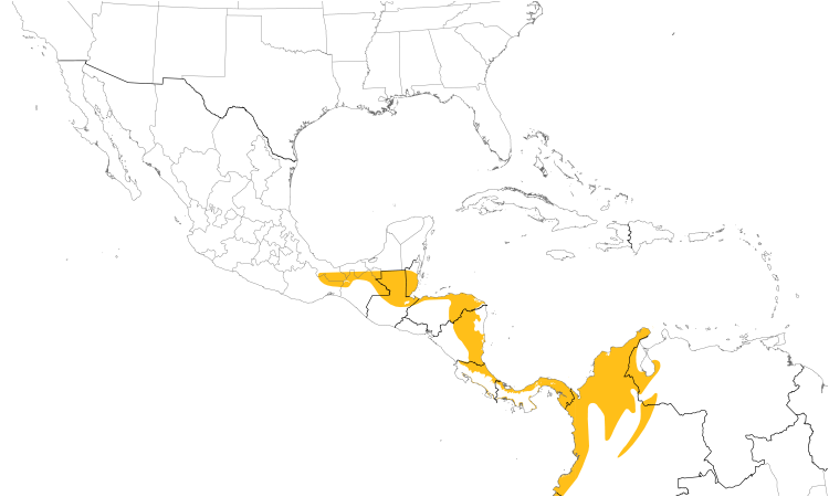 Range Map (Central): Cinnamon Becard