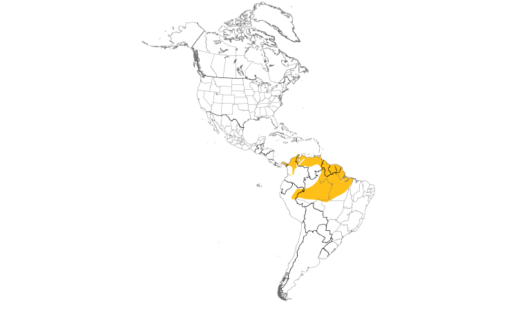 Range Map (Americas): Cinereous Becard