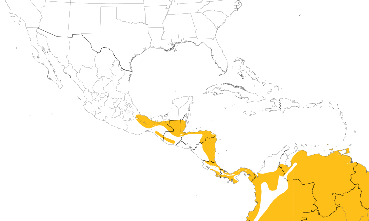 Range Map (Central): Lesser Swallow-tailed Swift