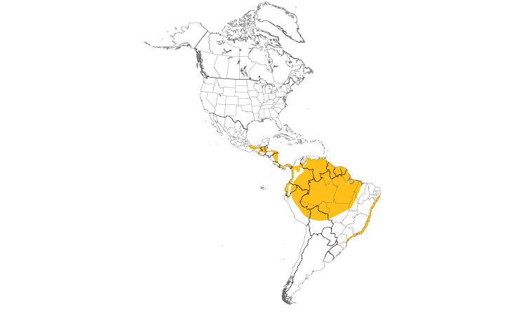 Range Map (Americas): Lesser Swallow-tailed Swift