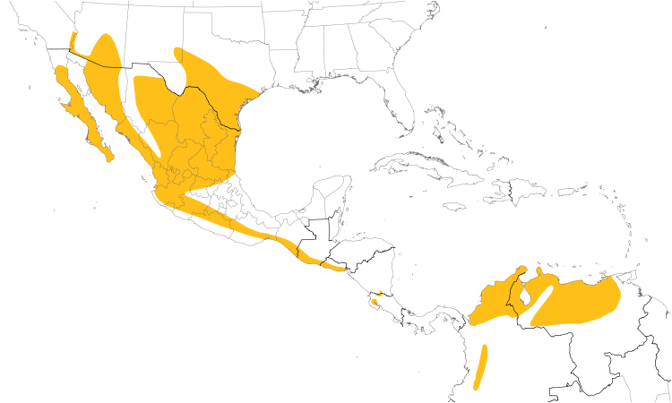 Range Map (Central): Harris's Hawk