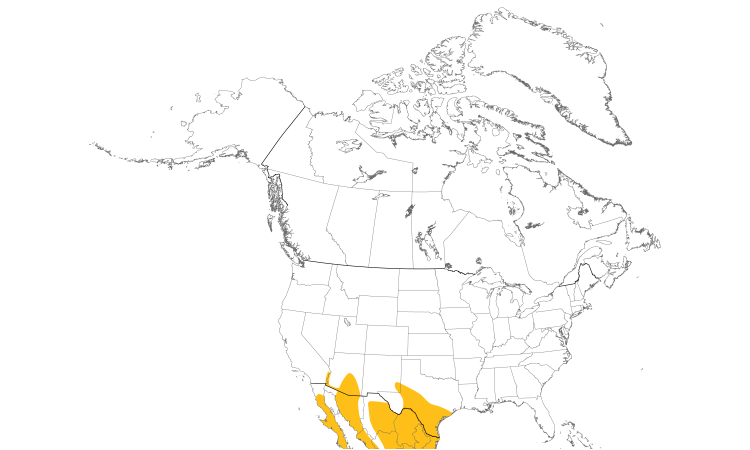 Range Map (North): Harris's Hawk