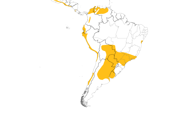 Range Map (South): Harris's Hawk