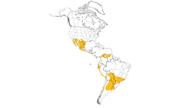 Range Map (Americas): Harris's Hawk