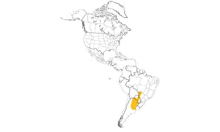 Range Map (Americas): Yellow-billed Cardinal