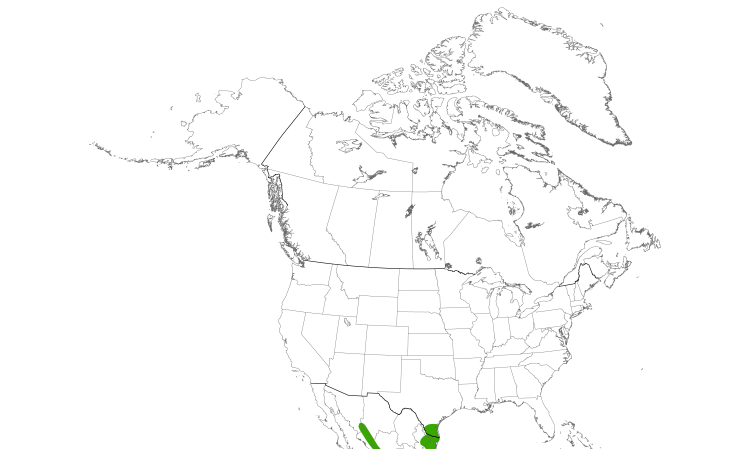 Range Map (North): Tropical Parula