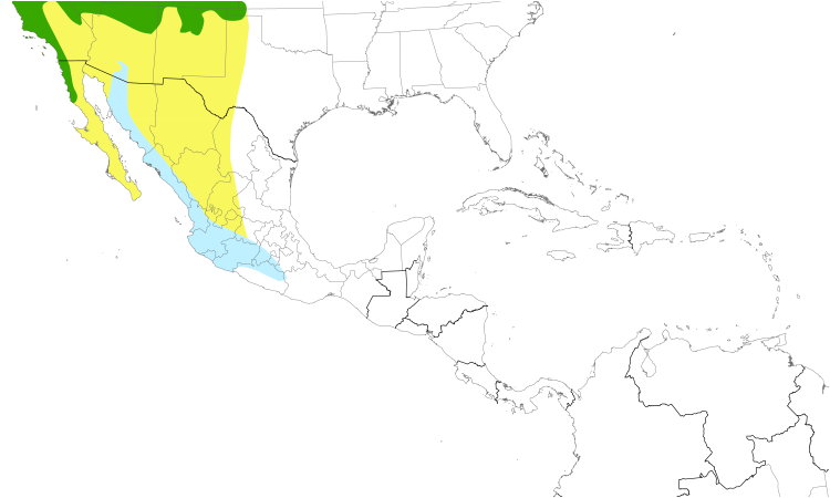 Range Map (Central): Lazuli Bunting