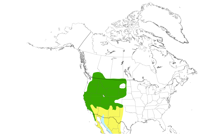 Range Map (North): Lazuli Bunting