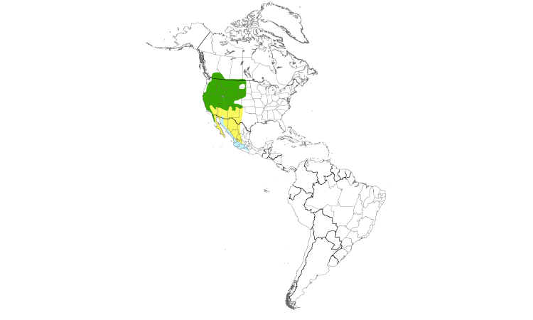 Range Map (Americas): Lazuli Bunting