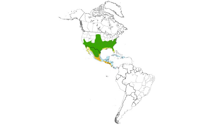 Range Map (Americas): Blue Grosbeak