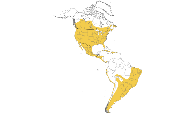 Range Map (Americas): House Sparrow