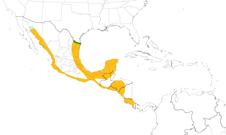 Range Map (Central): Red-billed Pigeon