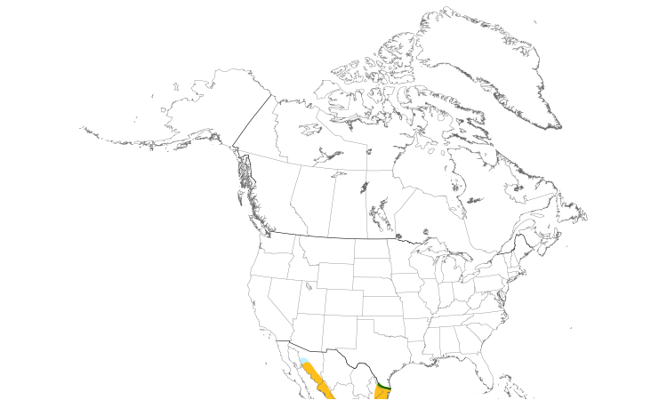 Range Map (North): Red-billed Pigeon