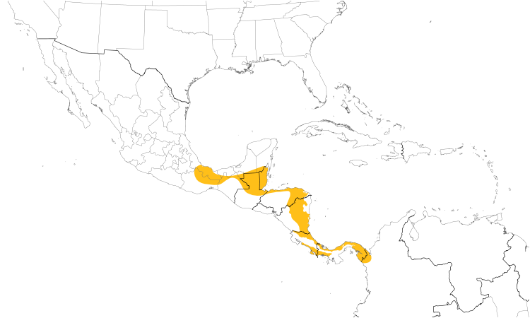 Range Map (Central): Short-billed Pigeon