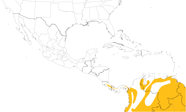 Range Map (Central): Ruddy Pigeon