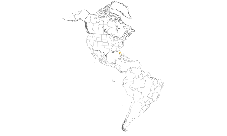 Range Map (Americas): Indian Peafowl
