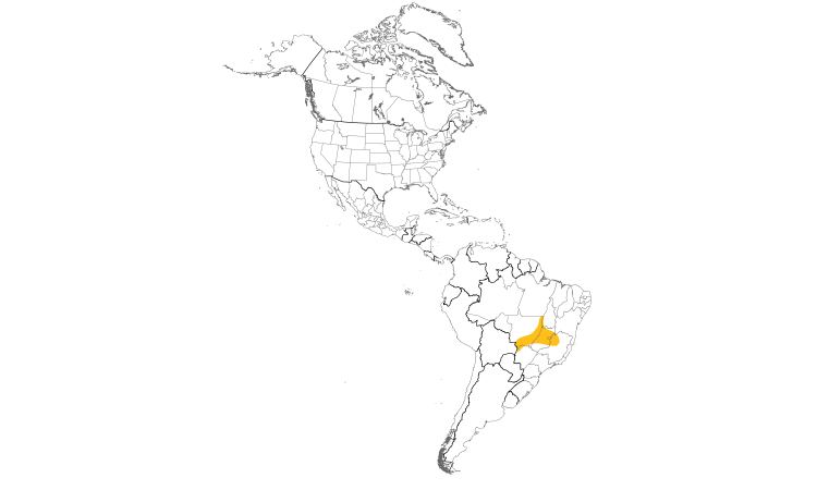 Range Map (Americas): Chestnut-bellied Guan