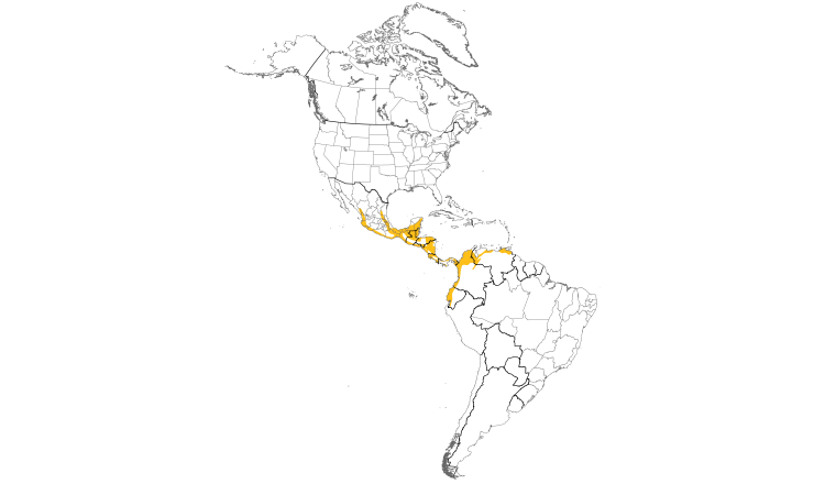Range Map (Americas): Crested Guan