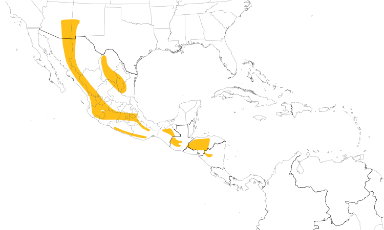 Range Map (Central): Olive Warbler