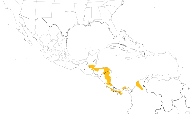 Range Map (Central): Scaly-breasted Hummingbird